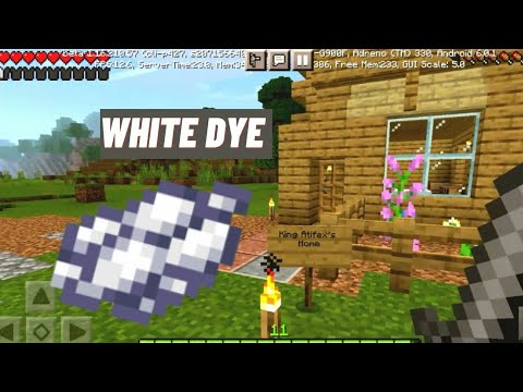 How to Make White dye on Minecraft Survival