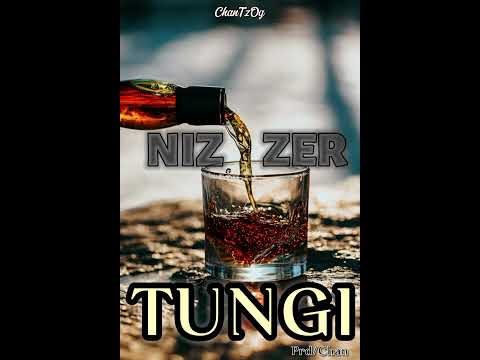 Nizzer - TUNGI Official Audio (Amapiano)