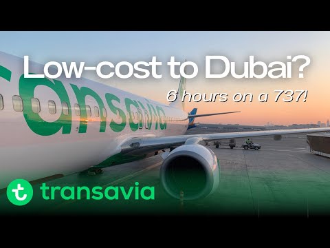 TRIP REPORT | 6,5 hours on a low-cost 737?! | Transavia Boeing 737-800 | Amsterdam - Dubai