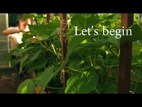 Thank You 20K Subscribers :) - #1 Let's begin