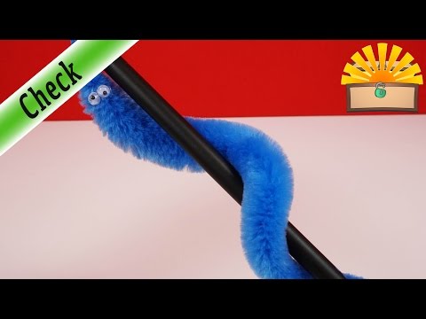 MAGISCHER WONDER WURM - Wurm BEWEGT SICH ALLEINE PRANK ARTIKEL - deutsch auspacken