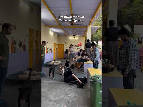 Diwali vibes at our Tabassum 💛✨