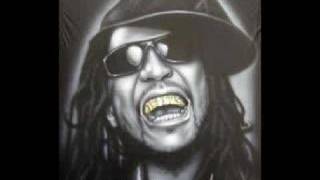 Lil Jon Petey Pablo feat - Freek a leek