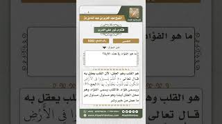 صورة 9302 - معنى الفؤاد  -  نور على الدرب