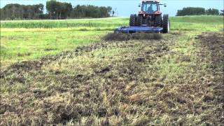 Smart Till at James Slywka.wmv