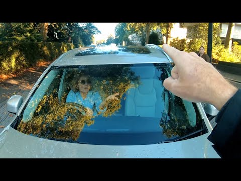 Biggest fine - £1750 at Gandalf Corner - she drives into Mikey - DC65VRP