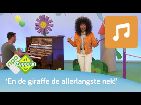 ZE KUNNEN ZEGGEN WAT ZE WILLEN | Kinderliedjes zingen met Fenna | NPO Zappelin