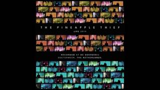 Magnolia (Live) - The Pineapple Thief (Best Audio)
