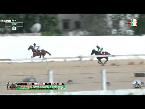 11 éme Journée, Catégorie pur Sang Vainqueur Diamera Ecurie Fatma