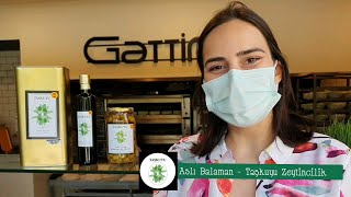 Tarsus Sarıulak Zeytini