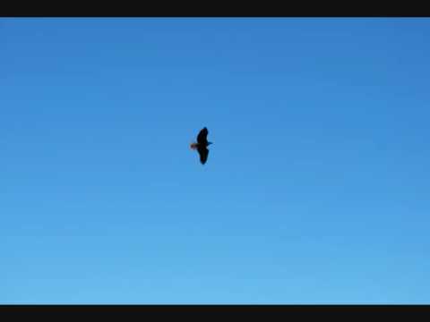 akashai ma chil udyo