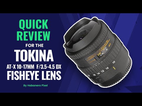 Video thumbnail for Video Review 3