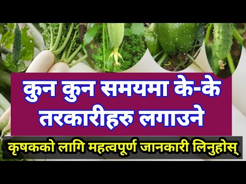 कुन कुन समयमा के-के तरकारीहरु लगाउने कृषकको लागि महत्वपूर्ण जानकारी लिनुहोस्