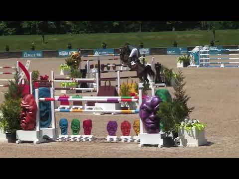 Nintendo WINS $75,000 CWD Grand Prix at HITS Hudson Valley 2024