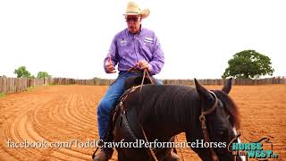 NRCHA 2 Million Dollar Rider Todd Crawford on "keeping your horse hooked to a cow"