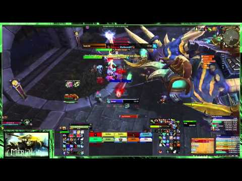 [HD] 10 Man Normal meridian vs Horridon - Hunter PoV