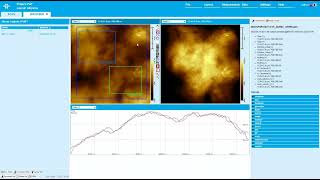 Data processing by NenoView - control software