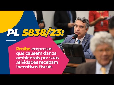 PL proíbe empresas que causarem danos ambientais continuem recebendo incentivos fiscais