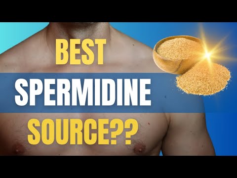 WHEAT GERM for Anti-Aging! More effective than Spermidine Supplements!!