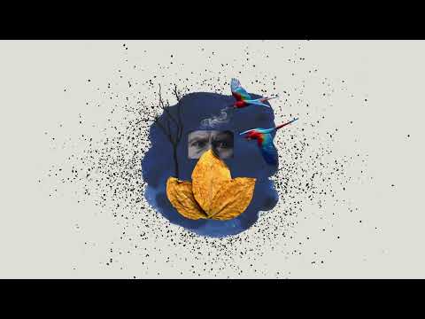 Youtube Video 1khhYqF1Wmg