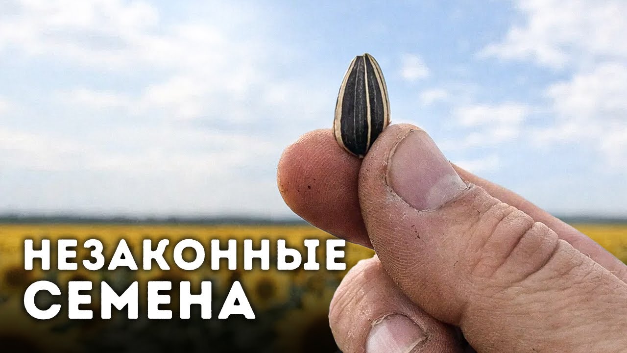 Корпорации запретили повседневные вещи, чтобы контролировать вас