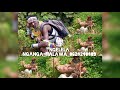 NGELELA NGANGA HALAWA 0624248489