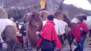 La sfilata dei Re Magi con i dromedari (mitici!) Albosaggia 2oo9