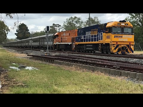 Journey Beyonds The Great Southern leads 2BT8 with NR88/NR31 South through Greenbank 8/12/25 