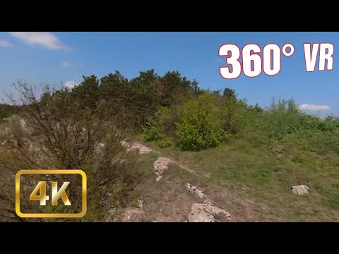 Walking in Forest #4 -  360 VR Video Tour - 4K - Harsova, Romania