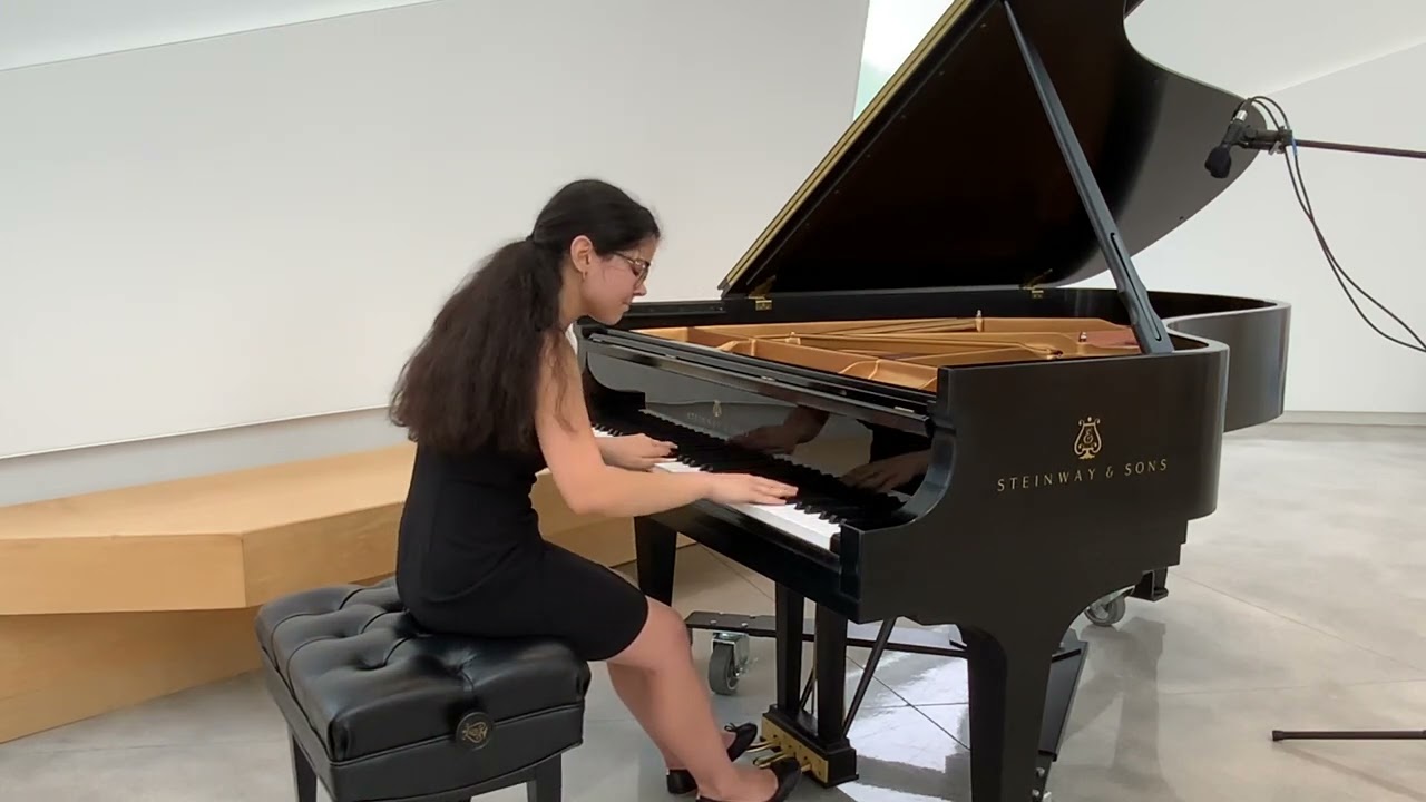 Promotional video thumbnail 4 for Piano Performance, Accompany, Teaching