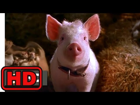 Babe: Pig in the City (1998) - That'll Do, Pig Scene (10/10) | Movieclips