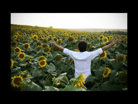 HOLOGRAF - Stiu cine sunt !