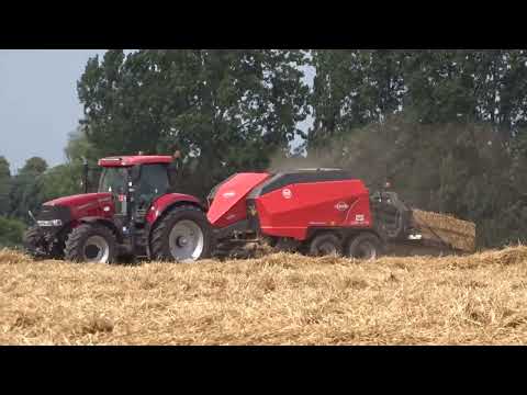 Snauwaert - Senesael: Grootpakpersen.