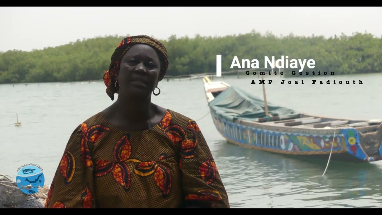 Découverte de l'Aire Marine Protégée de Joal-Fadiouth
