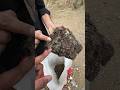 Original Shilajit Making In Kashmir Youtubeshorts