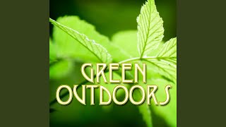 Echoing Loons Calls on a Northern Lake for Peace of Mind and Inner Strength