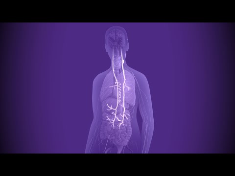 Vagus Nerve Stimulation Offers an Innovative Approach to Rheumatoid Arthritis Treatment