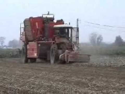 Vanneste P.: Aardappel rooien