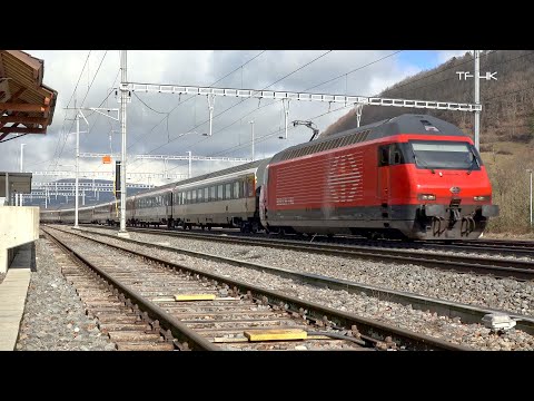 SBB IR 36 in Effingen mit Re 460 im Personenverkehr