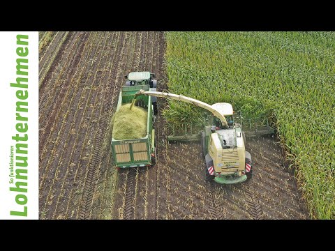 Krone BiG X 1100 beim Mais häckseln mit Lohnunternehmen Siemers
