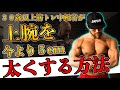 【筋トレ】今からあと5センチ上腕を太くする!極太の腕の作り方!