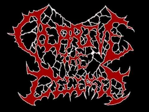 Deprive the Deceased - Screwdriver Facefuck
