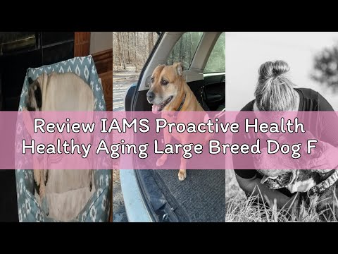 Review IAMS Proactive Health Healthy Aging Large Breed Dog Food for Mature and Senior Dogs with Real