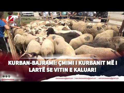 Kurban-Bajrami: Çmimi i kurbanit më i lartë se vitin e kaluar!
