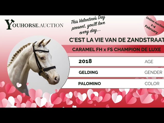 C'est la Vie homevideo