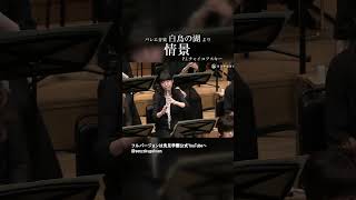 Download lagu 白鳥の湖 情景 mp3