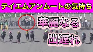 華麗なる出遅れをする テイエムアンムートの気持ち【馬の気持ちシリーズ】優雅な出遅れ【競馬】パイセンの競馬チャンネル