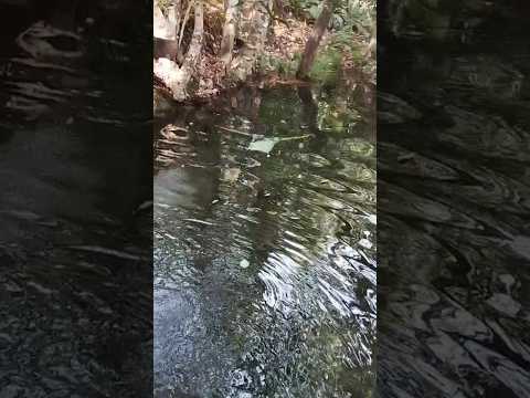 Serra dourada Mossâmedes - Goiás  #turismo #serradourada