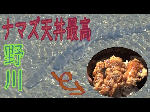 シルルスグラニス