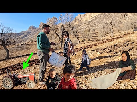 Helping Saifullah with farming to compensate for her hard work for the children